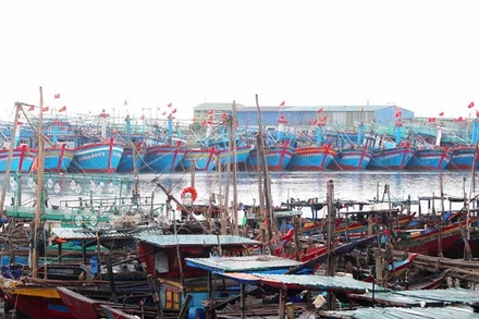 Các tàu cá có công suất máy trên 90CV trở lên được tỉnh Nghệ An hỗ trợ để giảm bớt khó khăn.