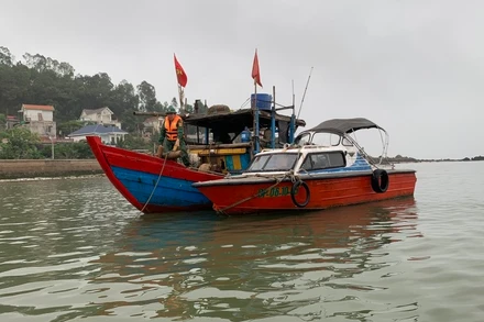 Phương tiện vi phạm bị bắt giữ. (Ảnh: Anh Bách)