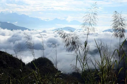 Đứng trên đỉnh Lao Tỷ Phùng, du khách được chiêm ngưỡng vẻ đẹp hùng vĩ của núi rừng Tây Bắc. 
