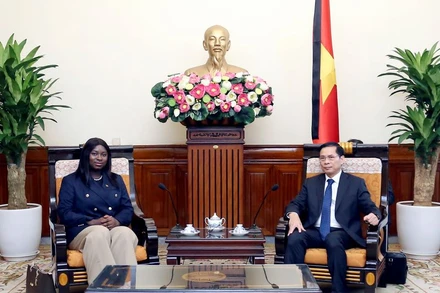 Bộ trưởng Ngoại giao Bùi Thanh Sơn tiếp Quốc vụ khanh Bộ Ngoại giao Guinea-Bissau Nancy Raisa Cardoso.