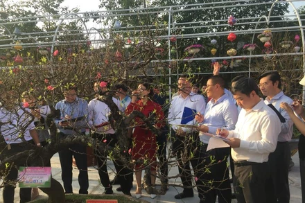 Ban Giám khảo đang nhận xét, chấm điểm cho các tác phẩm lọt vào vòng chung khảo.