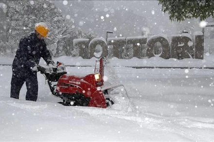 Công nhân dọn tuyết tại thành phố Tottori, miền Tây Nhật Bản ngày 24/1/2024. (Ảnh: Kyodo/TTXVN)