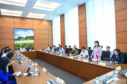 Quang cảnh phiên thảo luận tại Tổ 8. (Ảnh: DUY LINH)