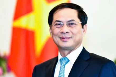 Phó Thủ tướng, Bộ trưởng Ngoại giao Bùi Thanh Sơn.