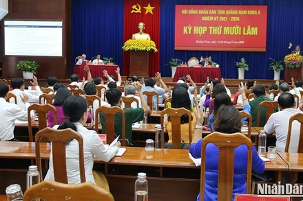 Các đại biểu Hội đồng nhân dân tỉnh biểu quyết thông qua nghị quyết.