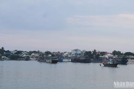 Quảng Nam tổ chức cấm biển kể từ 7 giờ ngày 25/9, đến nay, nhiều tàu thuyền đã vào nơi trú ấn.