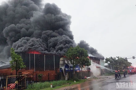 Công an tỉnh Quảng Nam huy động lực lượng, phương tiện nỗ lực dập tắt đám cháy.