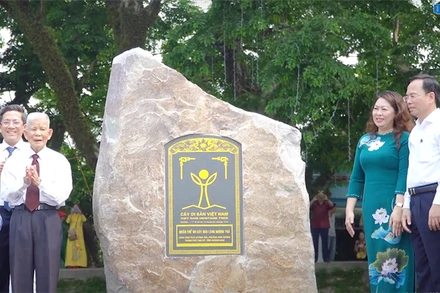 Hội Bảo vệ Thiên nhiên và Môi trường Việt Nam trao quyết định, gắn bia công nhận Cây Di sản Việt Nam đối với quần thể 9 cây sưa tại làng sinh thái Hương Trà, phường Hòa Hương, thành phố Tam Kỳ (Quảng Nam).