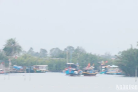 Tàu thuyền đã vào nơi tránh trú an toàn.