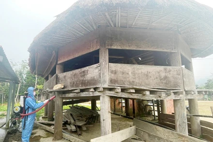 Cán bộ y tế phun hóa chất xử lý môi trường, ngăn chặn dịch lây lan.