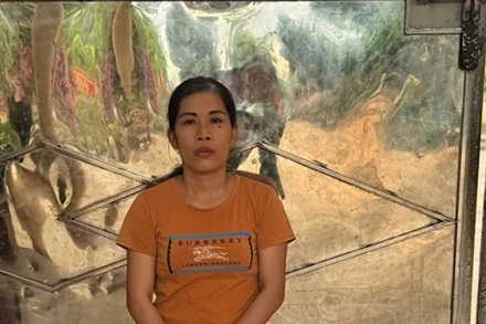 Công an tỉnh Quảng Nam tạm giữ hình sự đối với Nguyễn Thị Hoài để điều tra về hành vi “Giết người”.