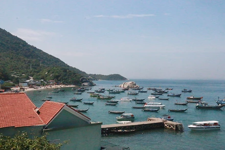 Một góc Khu dự trữ sinh quyển Cù Lao Chàm, Hội An (Quảng Nam).