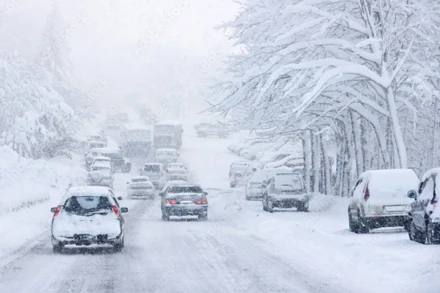 Ảnh: El Adelantado