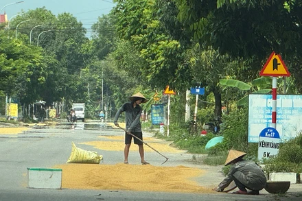 Việc người dân lấn chiếm lòng đường tận dụng làm nơi phơi thóc tiềm ẩn nhiều nguy cơ gây mất an toàn giao thông.