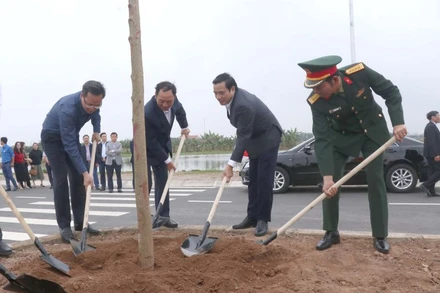 Lãnh đạo tỉnh Hưng Yên cùng nhân dân thành phố Hưng Yên đã trồng hơn 200 cây hoa ban tại dải phân cách tuyến đường trục Bắc Nam, khu Đại học Phố Hiến, thành phố Hưng Yên, tỉnh Hưng Yên.