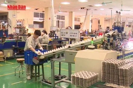 [Video] Nhà khoa học được mở doanh nghiệp để thương mại hóa nghiên cứu