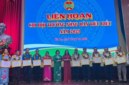 Lãnh đạo tham dự Liên hoan tặng bằng khen cho Chi hội trưởng nông dân có thành tích xuất sắc.