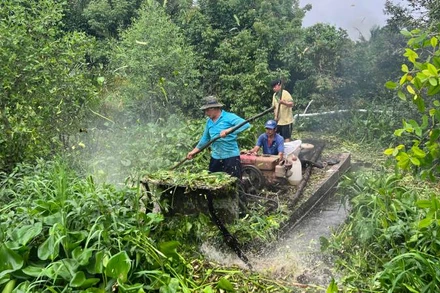 Máy phá lục bình, cỏ dại giúp khơi thông dòng chảy.
