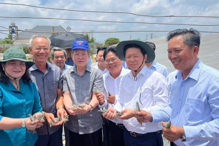 Trung ương Hội Nông dân Việt Nam cùng lãnh đạo chính quyền địa phương tham quan mô hình nuôi tôm công nghệ cao của Câu lạc bộ nông dân tỷ phú huyện Thạnh Phú.