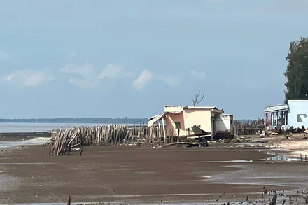 Sạt lở bờ biển tại xã Bảo Thuận (huyện Ba Tri, tỉnh Bến Tre) làm mất đất, nhà ở của người dân.