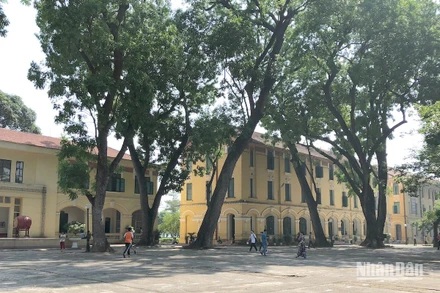 Sân trường (Ảnh: THANH HÀ)