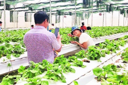 Khoa học và công nghệ đã giúp sản phẩm nông nghiệp Đắk Nông nâng tầm trên thị trường trong nước và quốc tế.