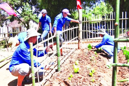 Mô hình cải tạo vườn tạp giúp người dân Đăk Hà phát triển kinh tế, cải thiện cuộc sống, làm đẹp cho quê hương.