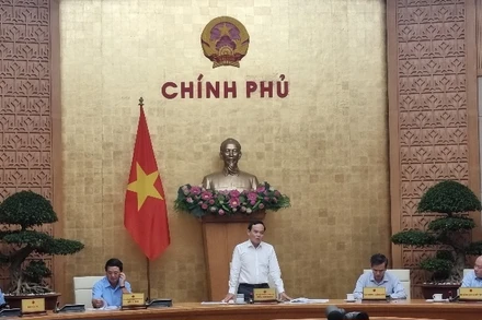 Phó Thủ tướng Trần Lưu Quang phát biểu ý kiến chỉ đạo cuộc họp.