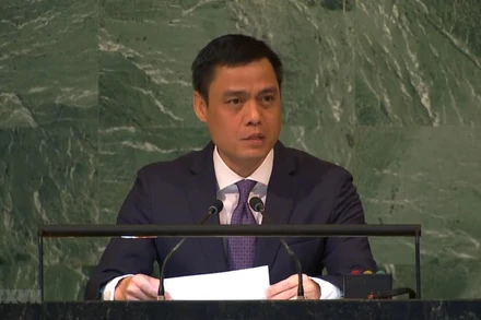 Đại sứ, Trưởng Phái đoàn Việt Nam Đặng Hoàng Giang phát biểu. (Ảnh: TTXVN)