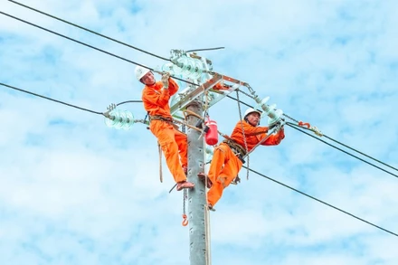 Công nhân Điện lực Đà Nẵng kiểm tra, nâng cấp đường dây.