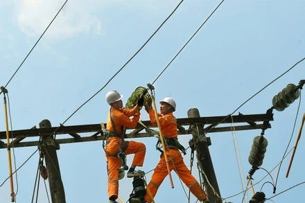 Công nhân Điện lực sửa chữa, bảo dưỡng đường dây trung thế.