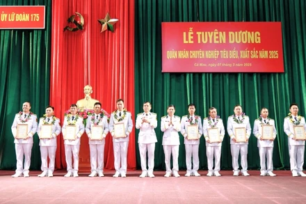 Trao thưởng cho các quân nhân chuyên nghiệp tiêu biểu, xuất sắc.