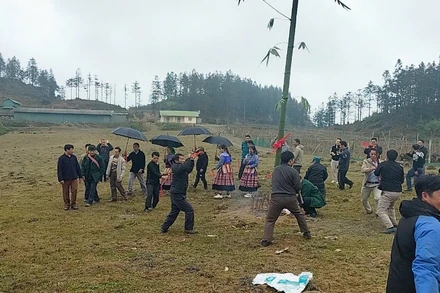 Nghi lễ dựng cây Nêu trong lễ hội Gầu Tào, tại thôn Tả Chải, xã Lùng Phình, huyện Bắc Hà.