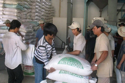 Cân đối cung-cầu trong xuất khẩu gạo