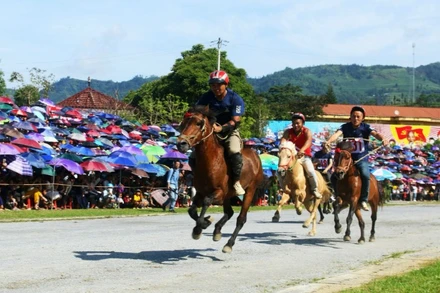 Một cuộc đua ngựa tại Bắc Hà (Lào Cai).
