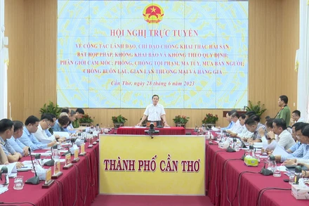 Phó Thủ tướng Trần Lưu Quang phát biểu ý kiến tại hội nghị.