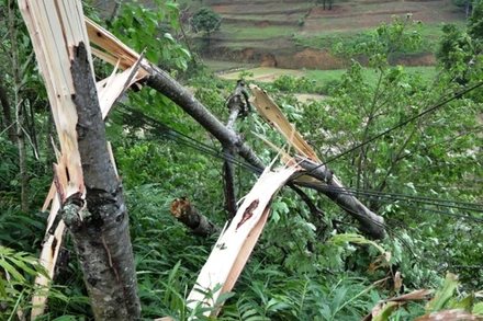Mưa đá và lốc xoáy gây thiệt hại nhà ở và hoa màu của người dân Si Ma Cai, Lào Cai. (Ảnh: THANH NHÀN)