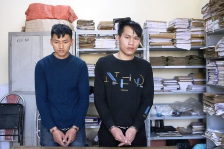 Phùng Lở Phụng và Vàng A Lù bị cơ quan công an bắt tạm giam, do chặt hạ trái phép gỗ pơ mu ở thị xã Sa Pa. (Ảnh: TUẤN NGUYỄN)