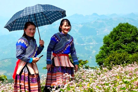 Đồng bào dân tộc H'Mông ở Si Ma Cai, thượng nguồn sông Chảy, vui đón Tết Độc Lập 2/9 năm nay. (Ảnh: ĐÌNH NAM)