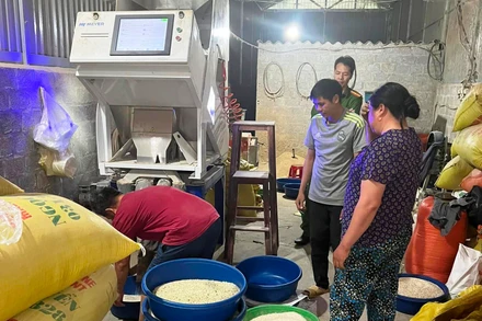 Lực lượng chức năng kiểm tra, ngăn chặn sản xuất gạo Séng Cù xanh tại chủ hộ kinh doanh Lục Đức Khón, thị trấn Mường Khương, huyện Mường Khương-Lào Cai. (Ảnh: ĐĂNG NĂM)