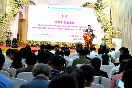 Hơn 80 doanh nghiệp Trung Quốc và 146 doanh nghiệp Việt Nam tham dự Hội nghị xúc tiến xuất-nhập khẩu nông, lâm, thủy sản tại thành phố Lào Cai chiều 10/11. (Ảnh: QUỐC HỒNG)