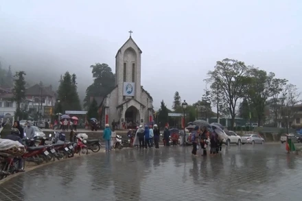 Mưa khá lớn ở Sa Pa đã cung cấp nước tưới và giảm nguy cơ cháy rừng ở địa phương. (Ảnh: QUỐC HỒNG)