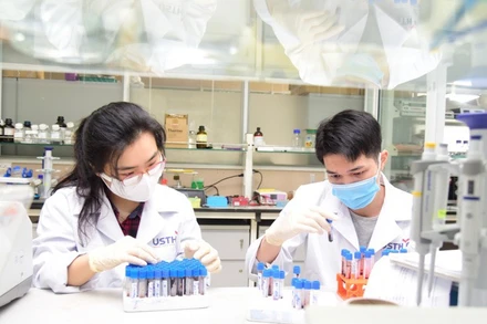 Sinh viên Trường đại học Khoa học và Công nghệ Hà Nội thực hành trong phòng thí nghiệm. 