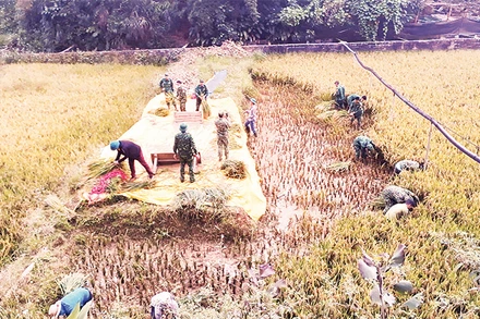 Bộ đội Biên phòng Ðồn Pha Long giúp người dân địa phương trong sản xuất, đời sống. 