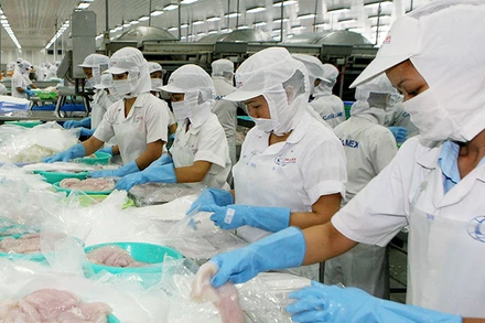 Chế biến thủy sản tại Công ty cổ phần Xuất nhập khẩu thủy sản Cần Thơ (TP Cần Thơ). (Ảnh QUỐC TUẤN) 