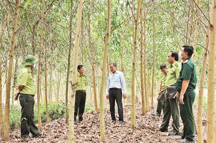 Cán bộ Chi cục Kiểm lâm tỉnh Long An kiểm tra công tác phòng, chống cháy rừng tại huyện Thạnh Hóa. 