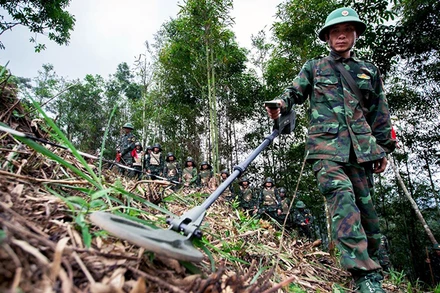Lực lượng công binh rà phá bom mìn, vật liệu nổ tại các xã biên giới huyện Vị Xuyên. 