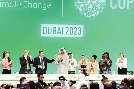 Các đại biểu tại COP28 chúc mừng về thỏa thuận được thông qua. (Ảnh REUTERS) 