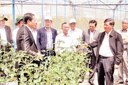 Lãnh đạo tỉnh Lâm Ðồng thăm nông trại của Hợp tác xã Dịch vụ nông nghiệp tổng hợp Sunfood Ðà Lạt. 