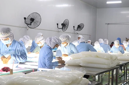 Chế biến sản phẩm thạch nha đam tại Công ty GC Food. 